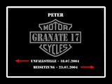 Peter - Bild 16