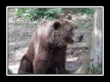 Jahr 2019 - Bild 084